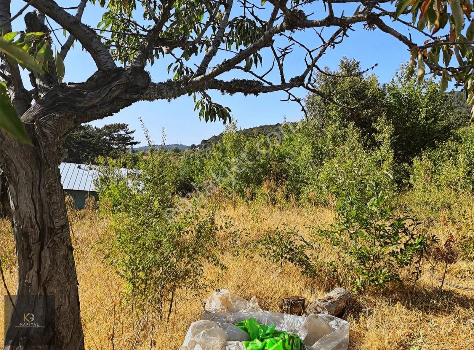 Osmangazi Bağlı Köyün De 900 M2 Bahçe