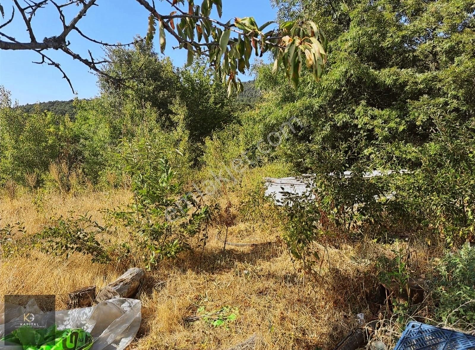 Osmangazi Bağlı Köyün De 900 M2 Bahçe - Görsel 3