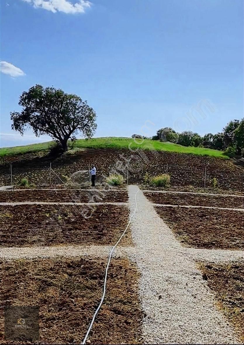 Yenişehir Afşar 13.500 M2 Her Türlü Takasa Uygun Manzaralı Arazi - Görsel 11