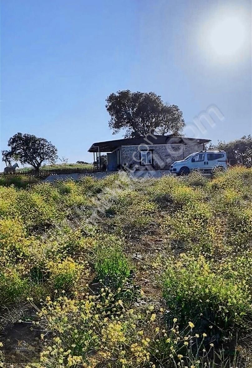 Yenişehir Afşar 13.500 M2 Her Türlü Takasa Uygun Manzaralı Arazi - Görsel 2