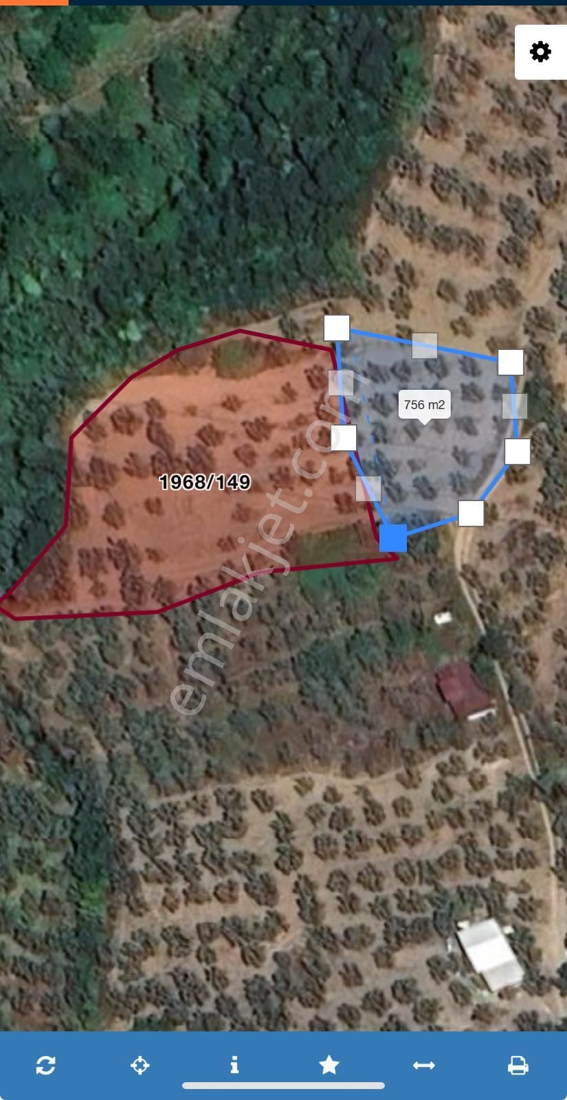 Umurbeyde Deniz Manzarlı 65 Ağaç Zeytinlik - Görsel 8