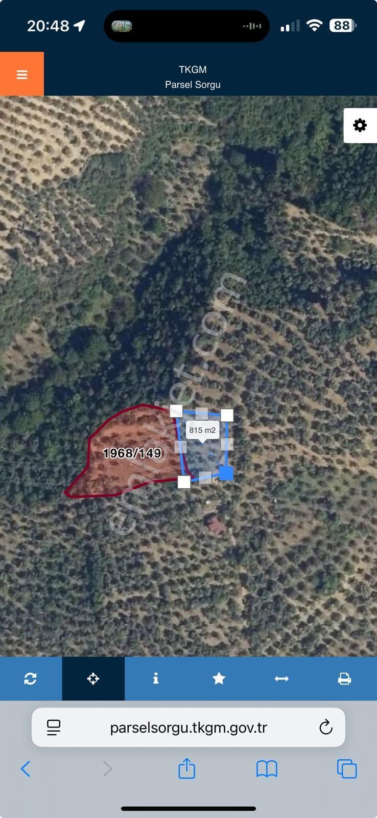 Umurbeyde Deniz Manzarlı 65 Ağaç Zeytinlik - Görsel 2