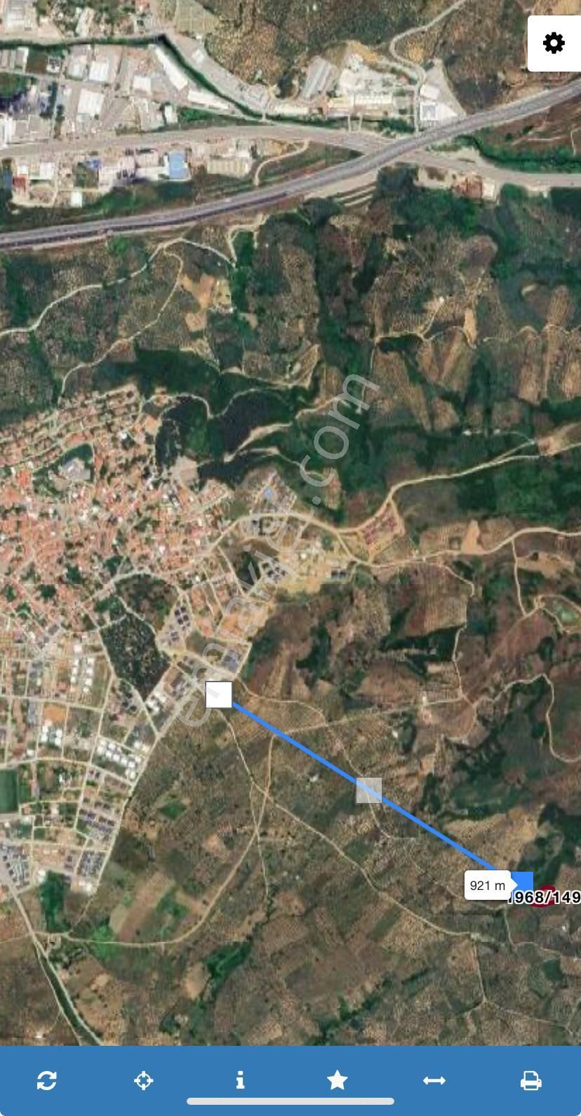 Umurbeyde Deniz Manzarlı 65 Ağaç Zeytinlik - Görsel 7