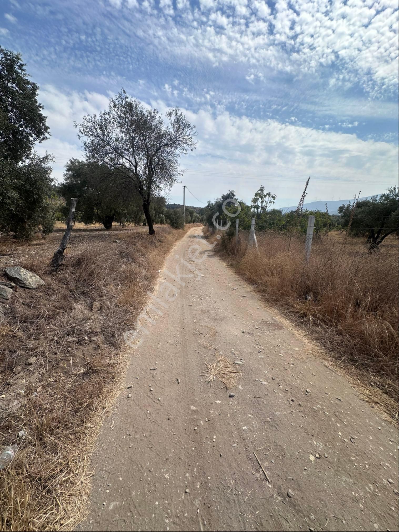 Süper Konumda Zeytinlik Ve İncir Bahçesi - Görsel 10