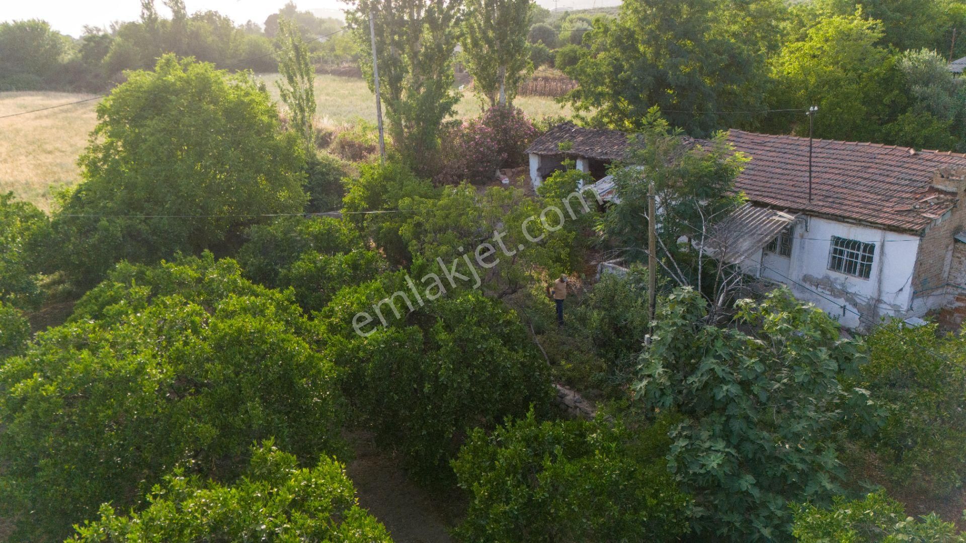 Kuyucak Çobanisa Mahallesinde Satılık Bahçe Evi Ve Portakal Bahçesi - Görsel 15