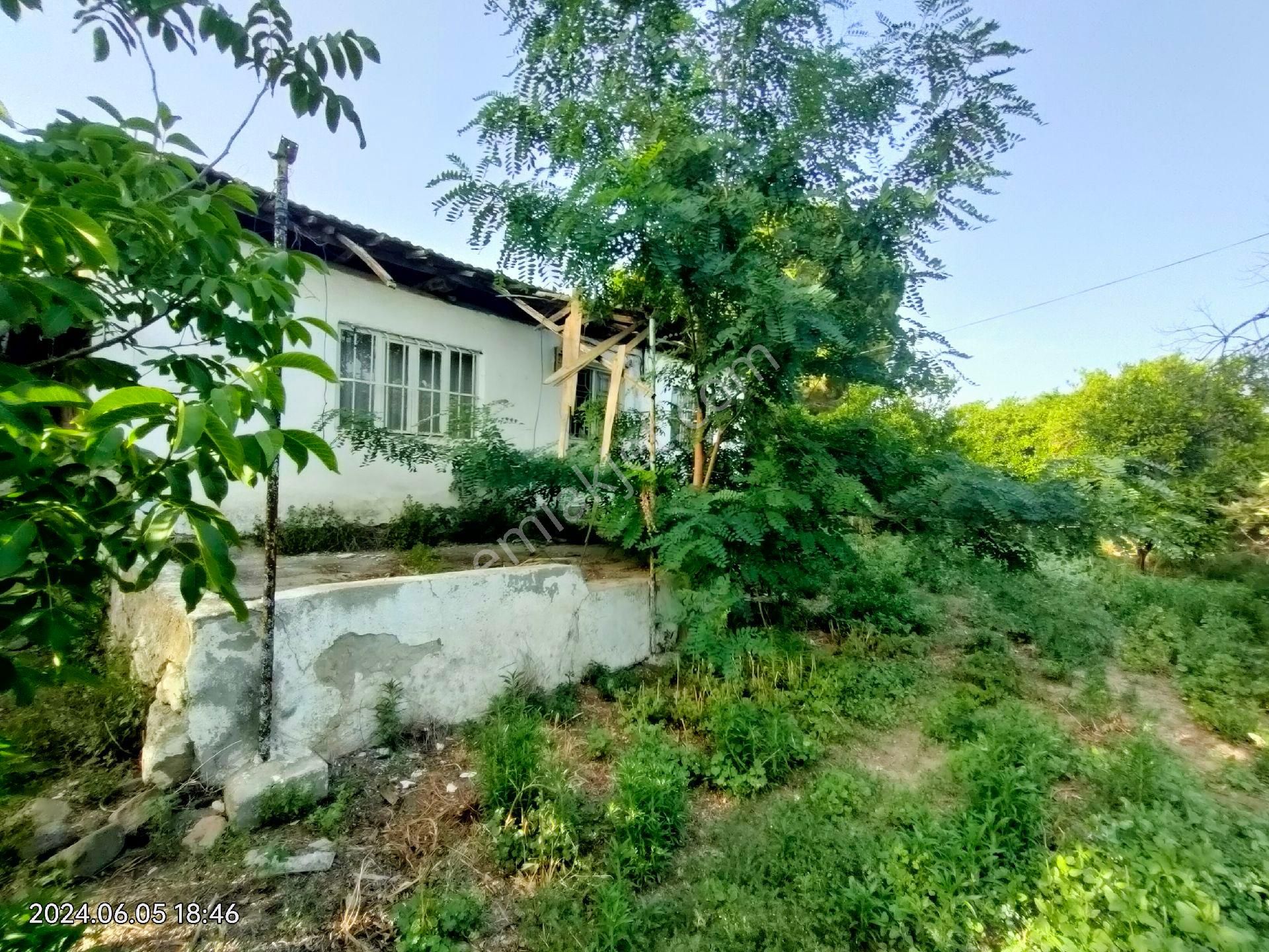 Kuyucak Çobanisa Mahallesinde Satılık Bahçe Evi Ve Portakal Bahçesi - Görsel 6