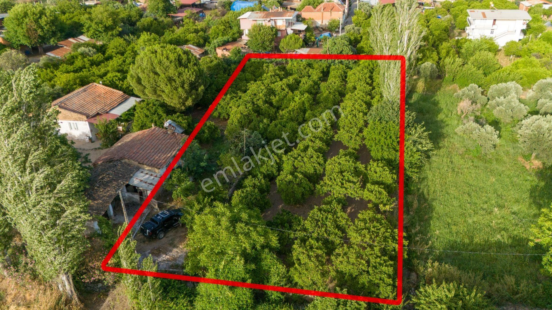Kuyucak Çobanisa Mahallesinde Satılık Bahçe Evi Ve Portakal Bahçesi - Görsel 7