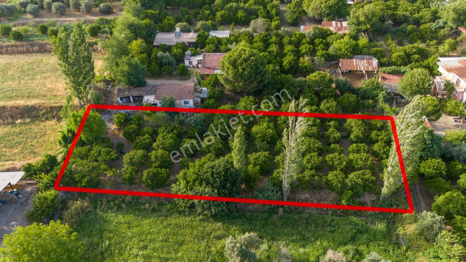 Kuyucak Çobanisa Mahallesinde Satılık Bahçe Evi Ve Portakal Bahçesi - Görsel 9