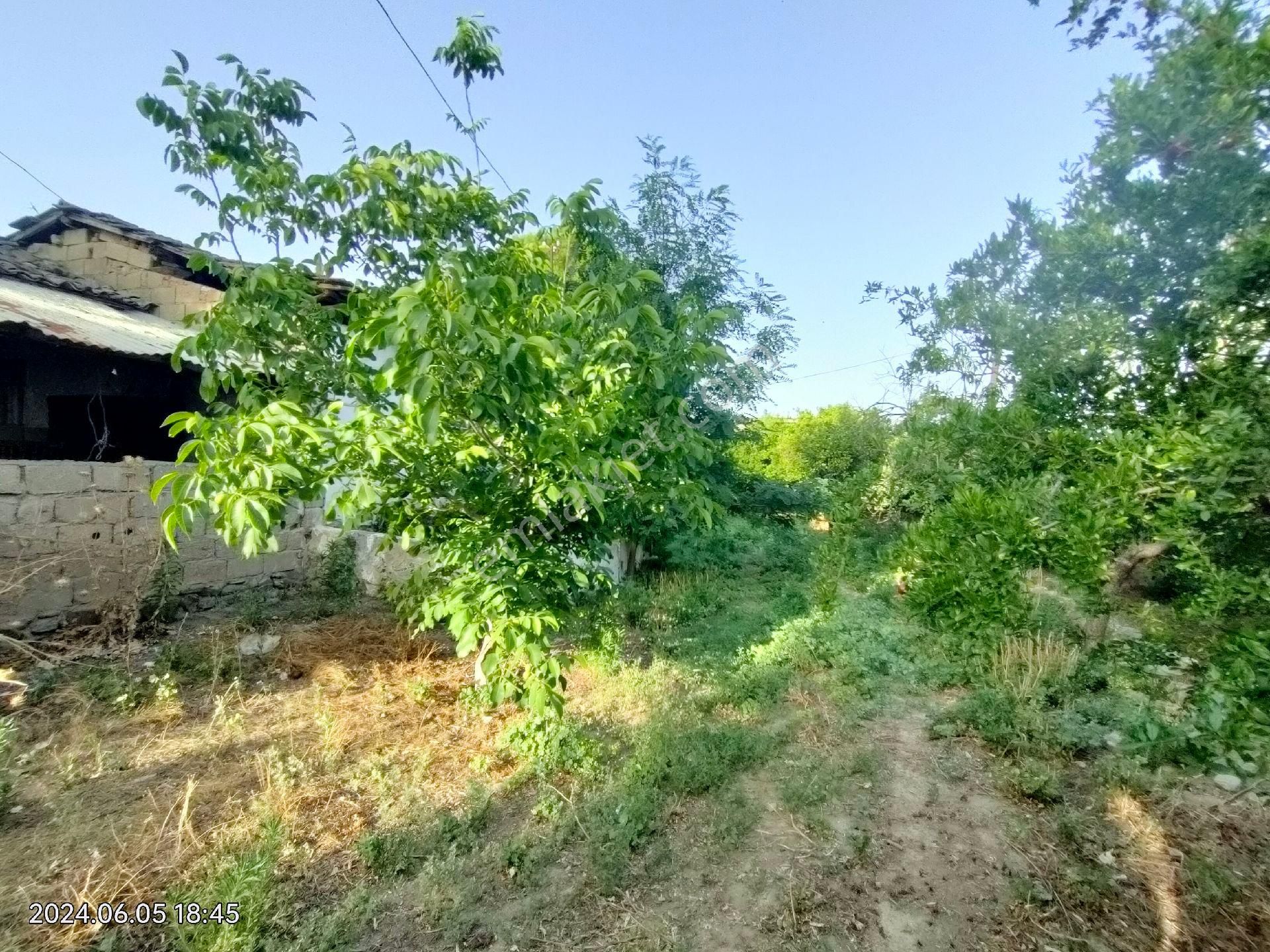 Kuyucak Çobanisa Mahallesinde Satılık Bahçe Evi Ve Portakal Bahçesi - Görsel 32