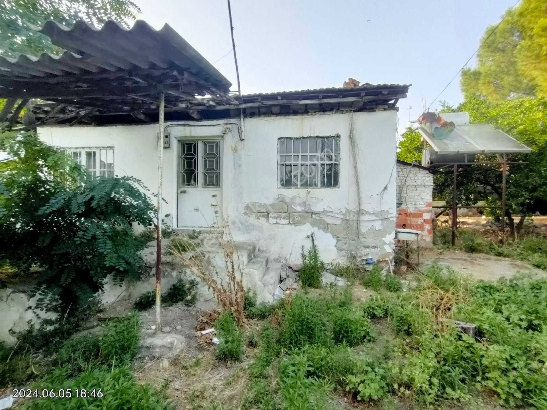 Kuyucak Çobanisa Mahallesinde Satılık Bahçe Evi Ve Portakal Bahçesi - Görsel 4