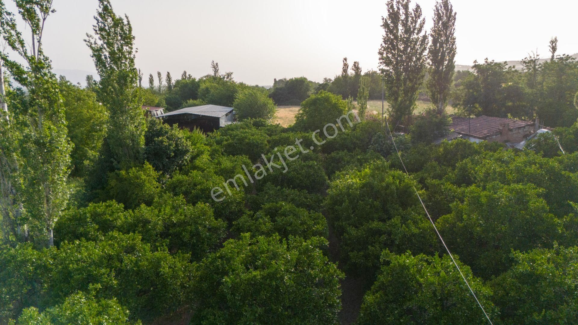 Kuyucak Çobanisa Mahallesinde Satılık Bahçe Evi Ve Portakal Bahçesi - Görsel 18