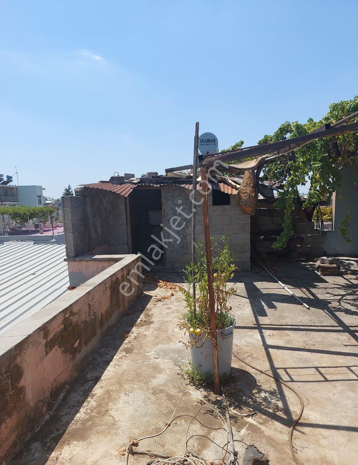 Şakirpaşa Mah. E-5 Yürüme Mesafesinde 2 /adet İş Yeri Daire Komple Satılık - Görsel 13