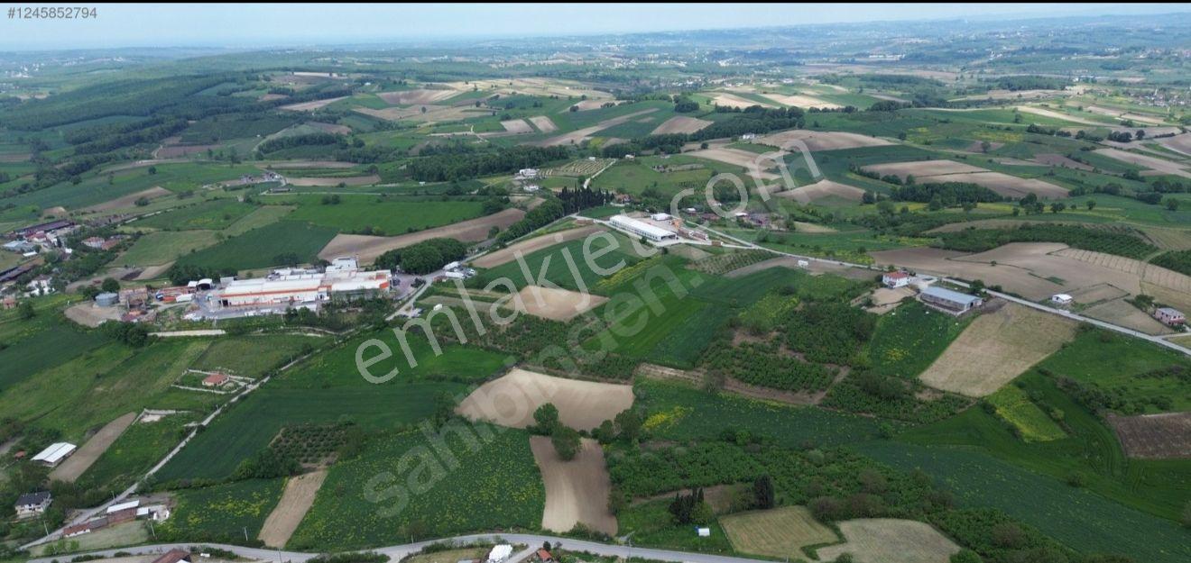 Sakarya Kaynarca Topcu Mahallesinde Satılık Yatırımlık Tarla - Görsel 11