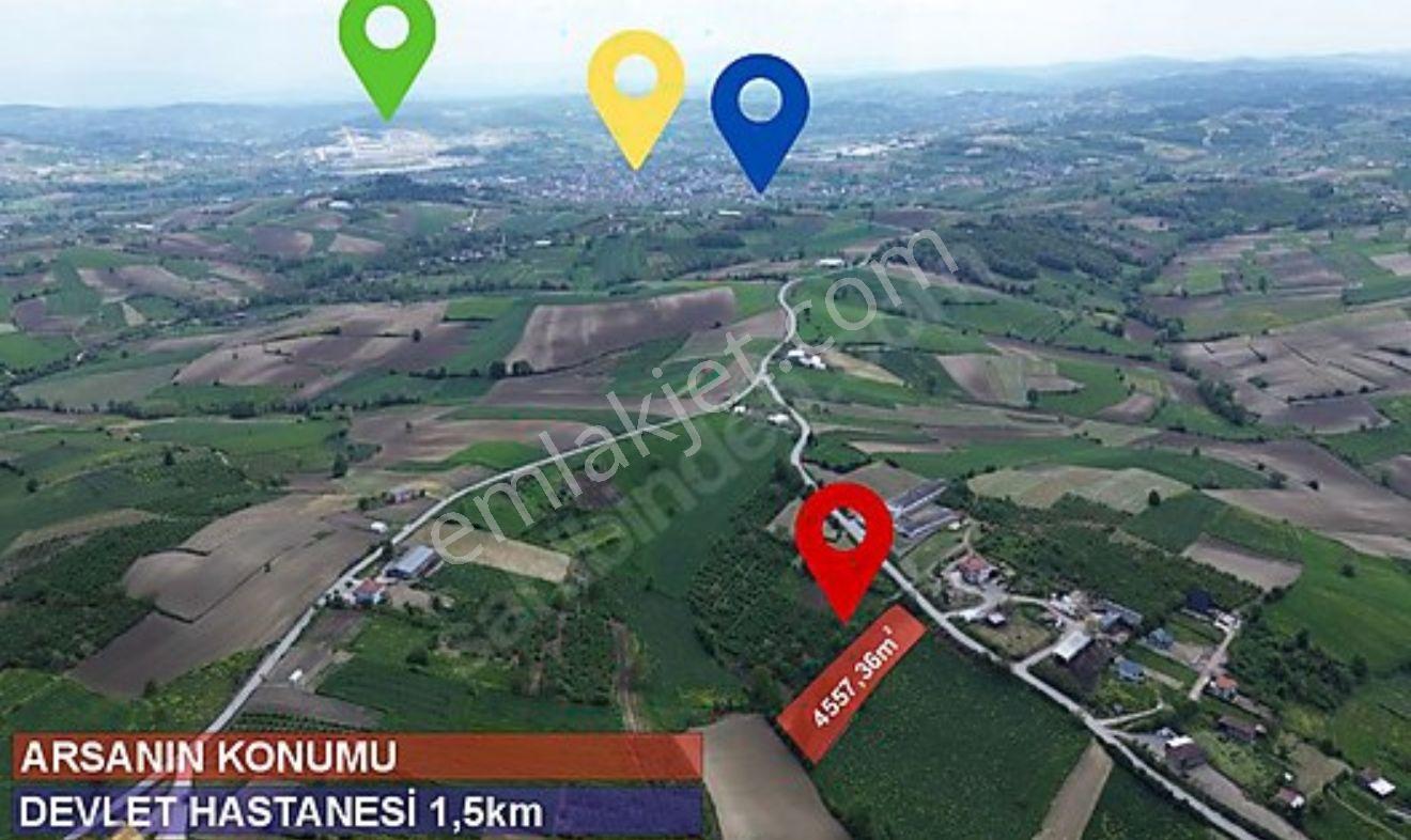 Sakarya Kaynarca Topcu Mahallesinde Satılık Yatırımlık Tarla - Görsel 3