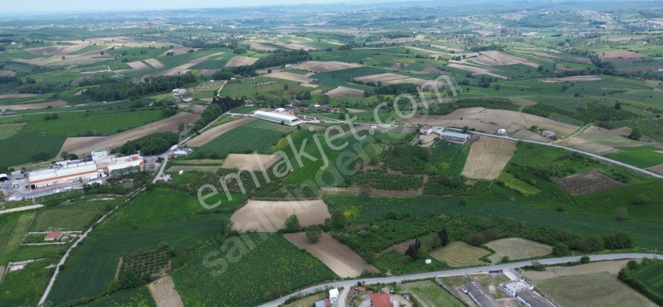 Sakarya Kaynarca Topcu Mahallesinde Satılık Yatırımlık Tarla - Görsel 14