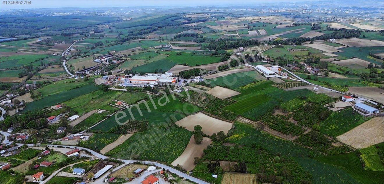 Sakarya Kaynarca Topcu Mahallesinde Satılık Yatırımlık Tarla - Görsel 9