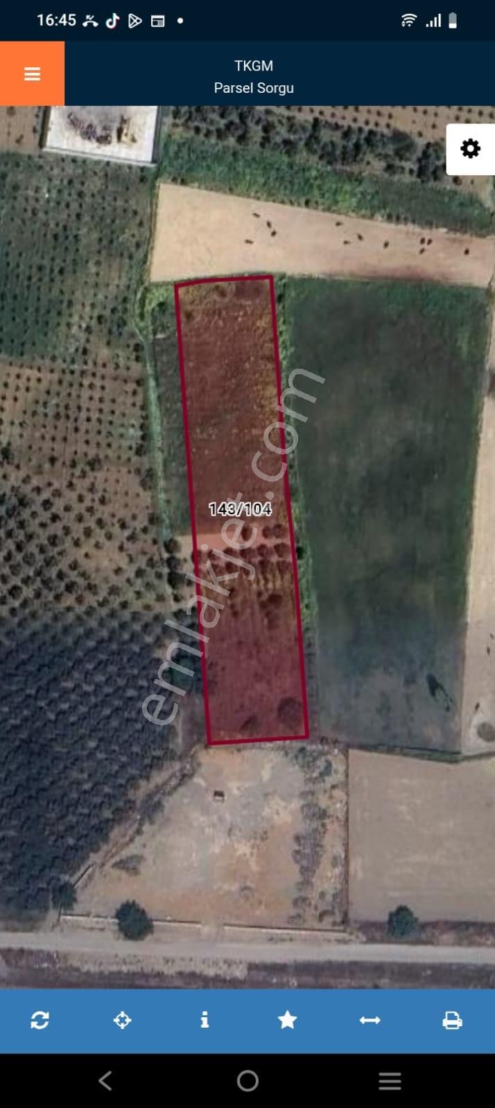 İzmir Kemalpaşa'da Satılık Yatırıma Uygun Tarla - Görsel 2