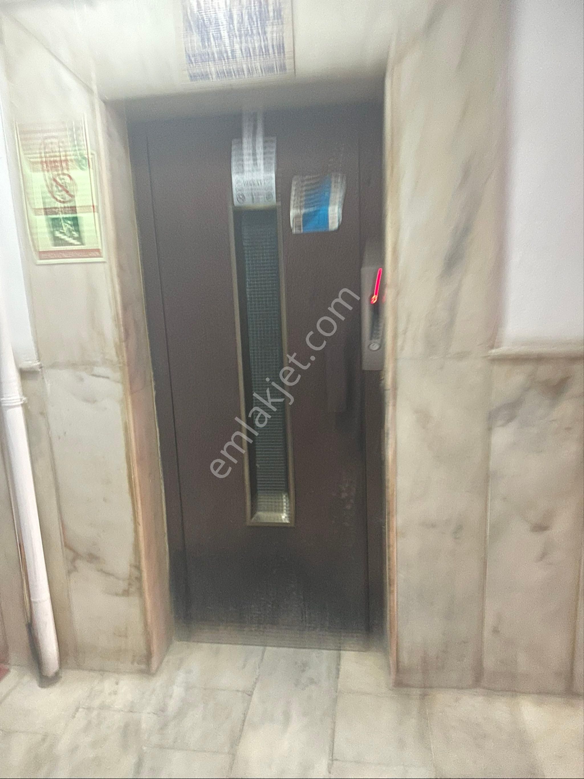 Öz Süt Arkası Geniş Daire - Görsel 30