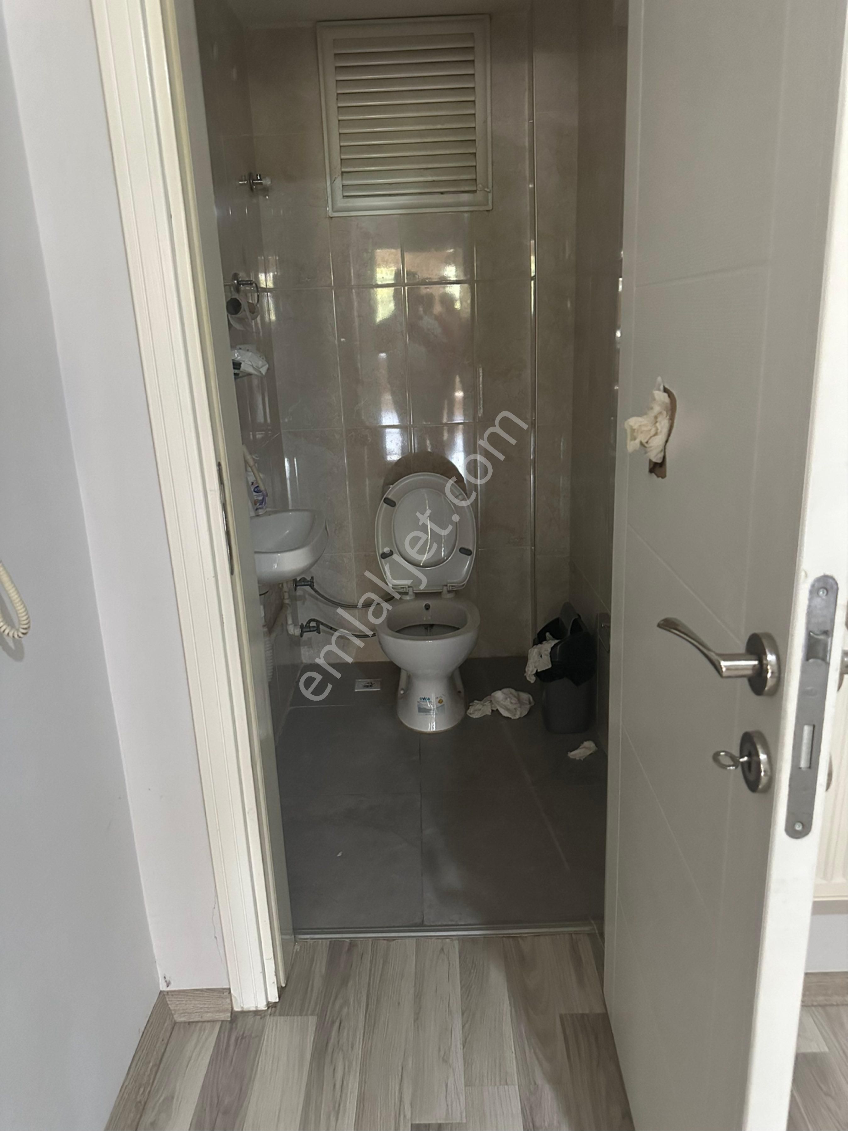 Öz Süt Arkası Geniş Daire - Görsel 10