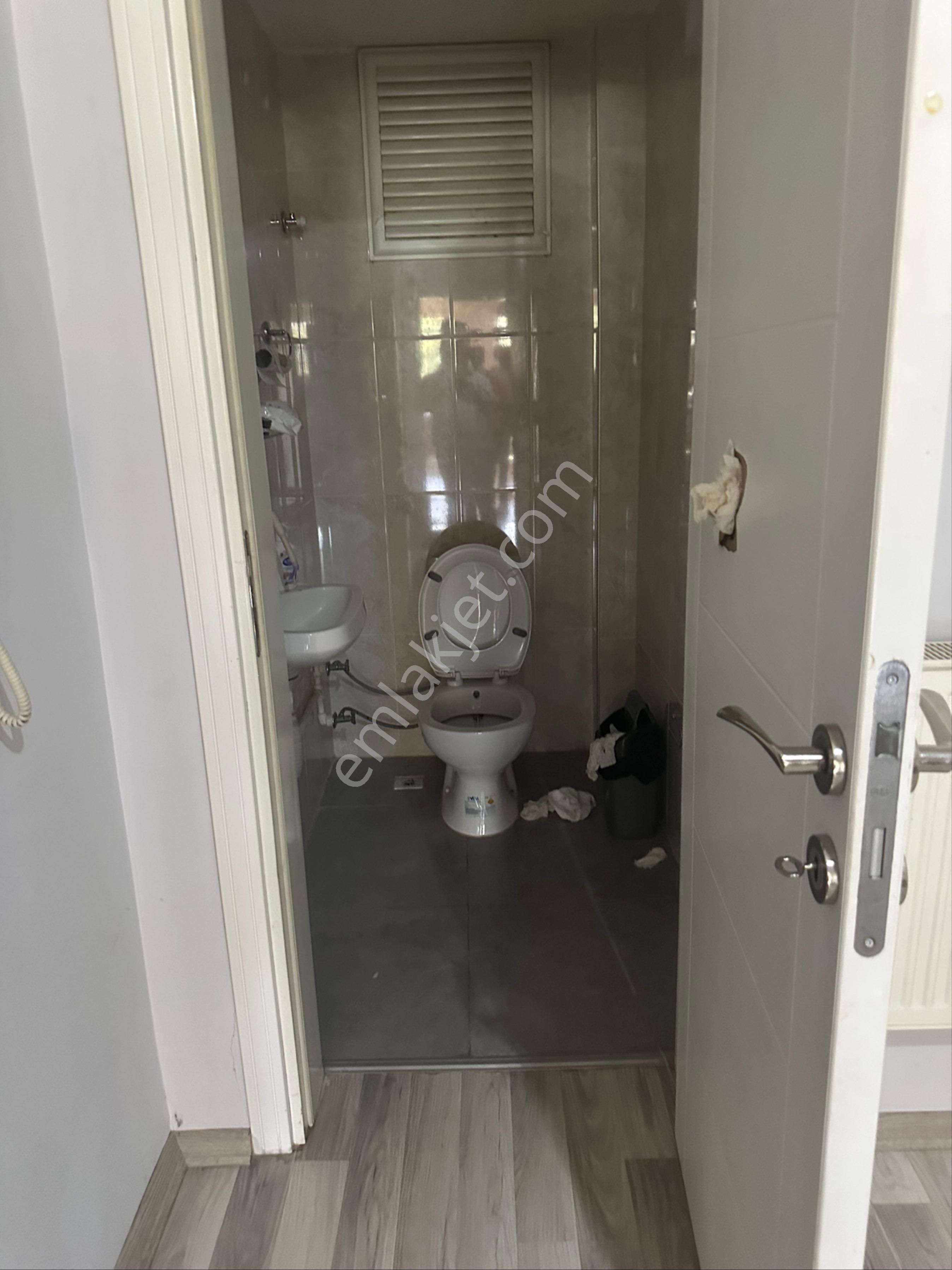 Öz Süt Arkası Geniş Daire - Görsel 7