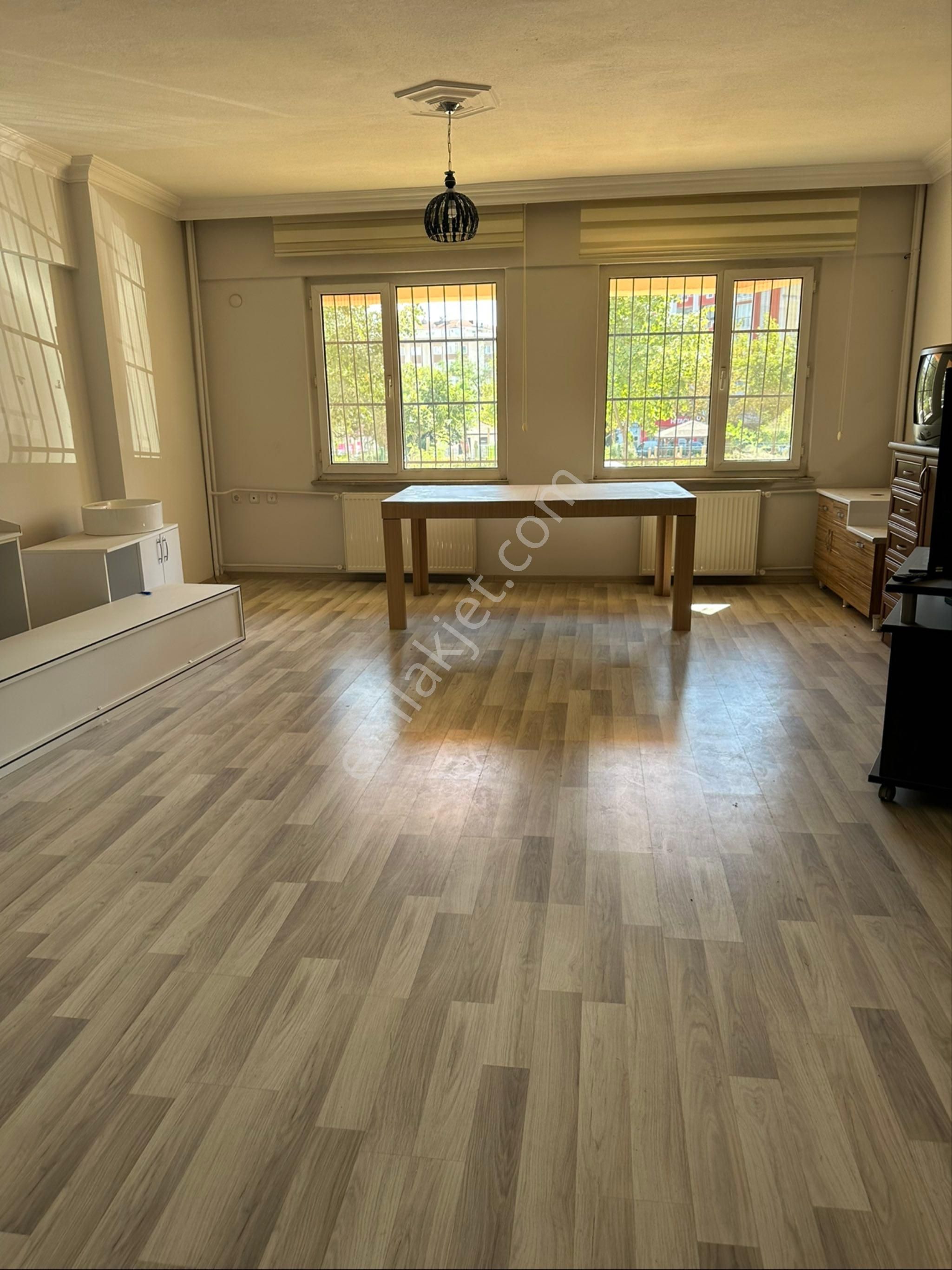 Öz Süt Arkası Geniş Daire - Görsel 2