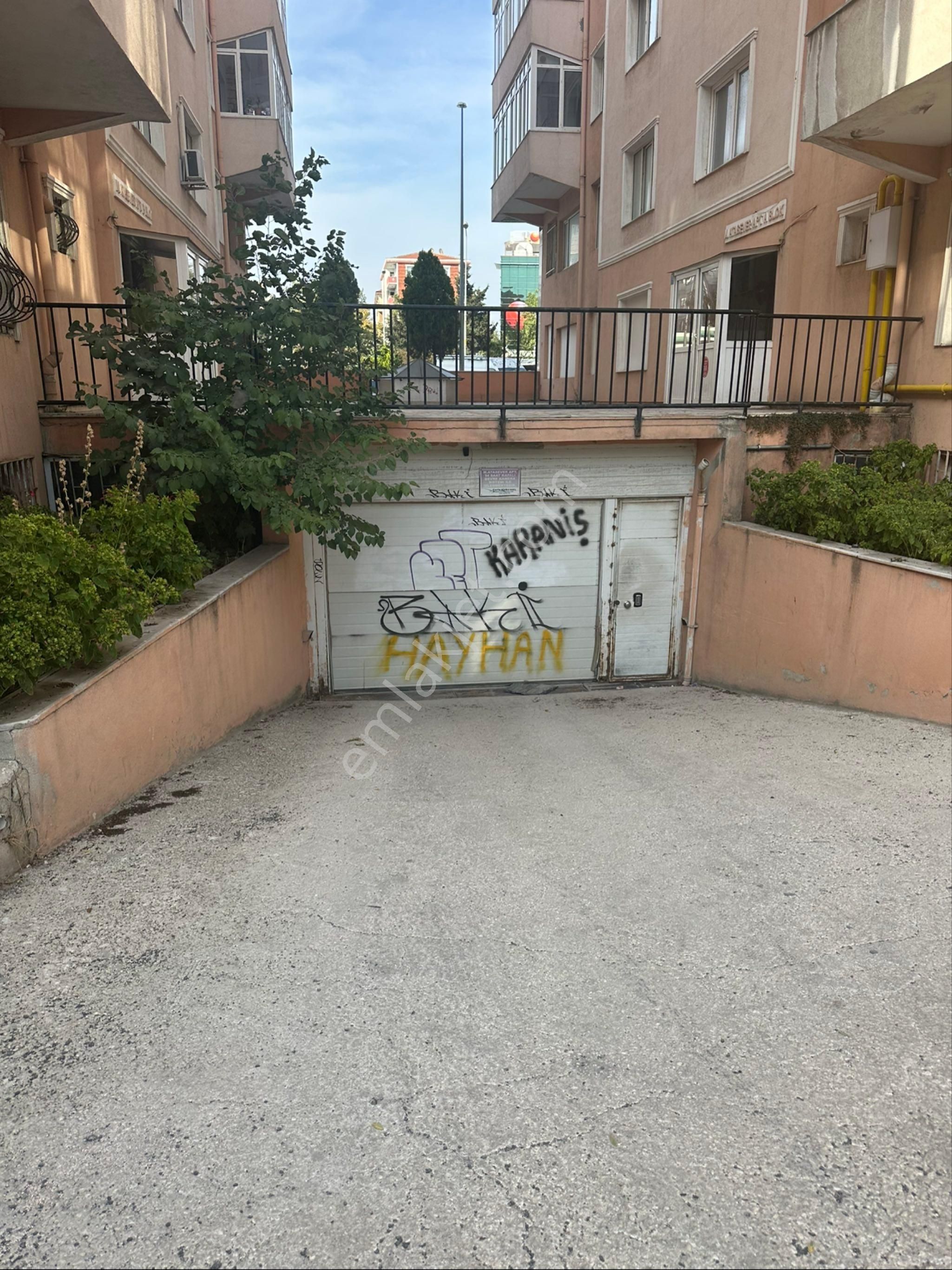 Öz Süt Arkası Geniş Daire - Görsel 33