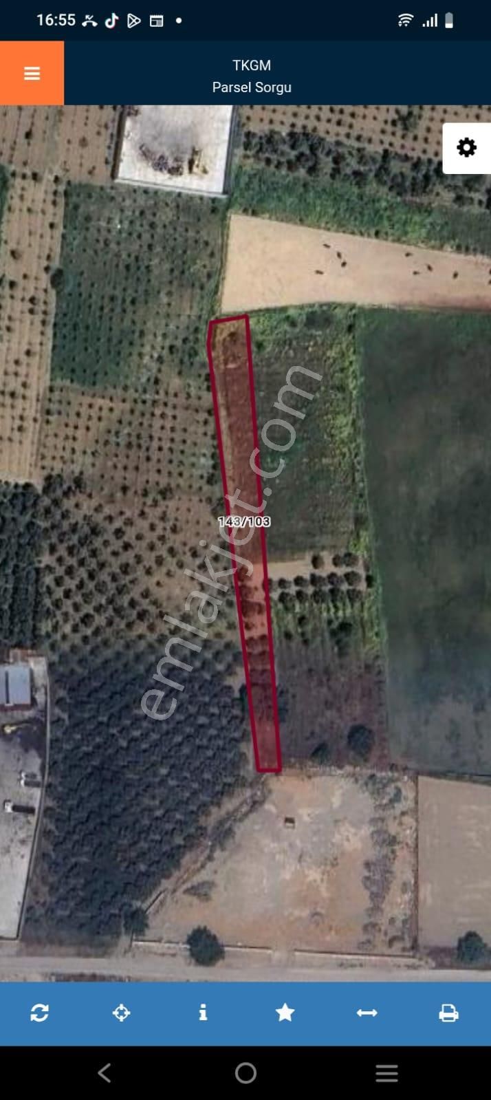 Kemalpaşa Akalan'da Satılık Yatırıma Uygun Tarla - Görsel 4