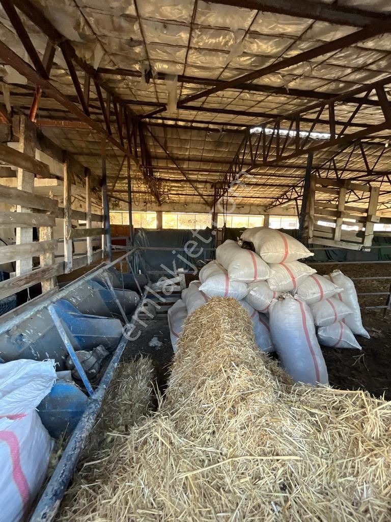 3bin Dönüm Meraya Hakim Asvalt Boyu Satılık Çiftlik - Görsel 9