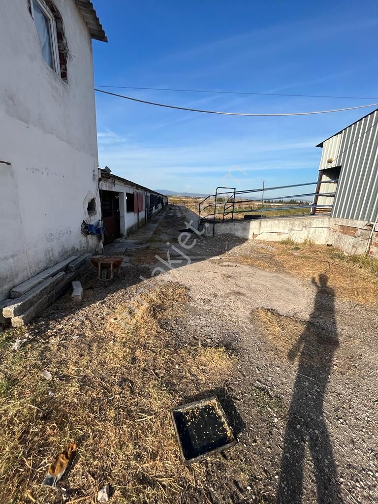 3bin Dönüm Meraya Hakim Asvalt Boyu Satılık Çiftlik - Görsel 10