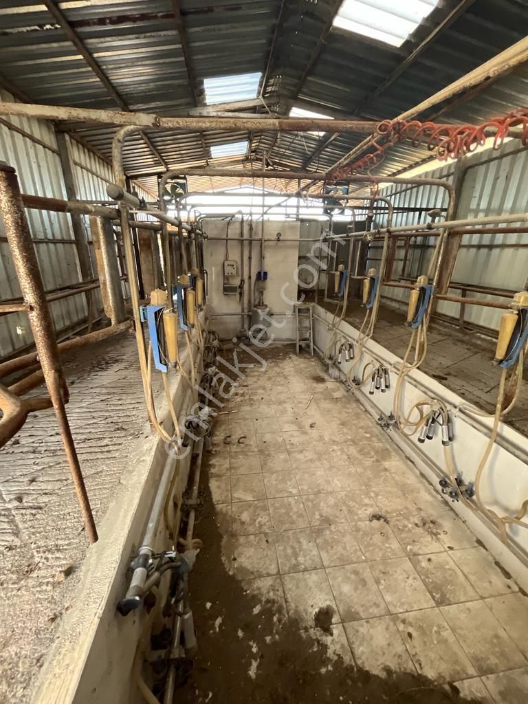 3bin Dönüm Meraya Hakim Asvalt Boyu Satılık Çiftlik - Görsel 15