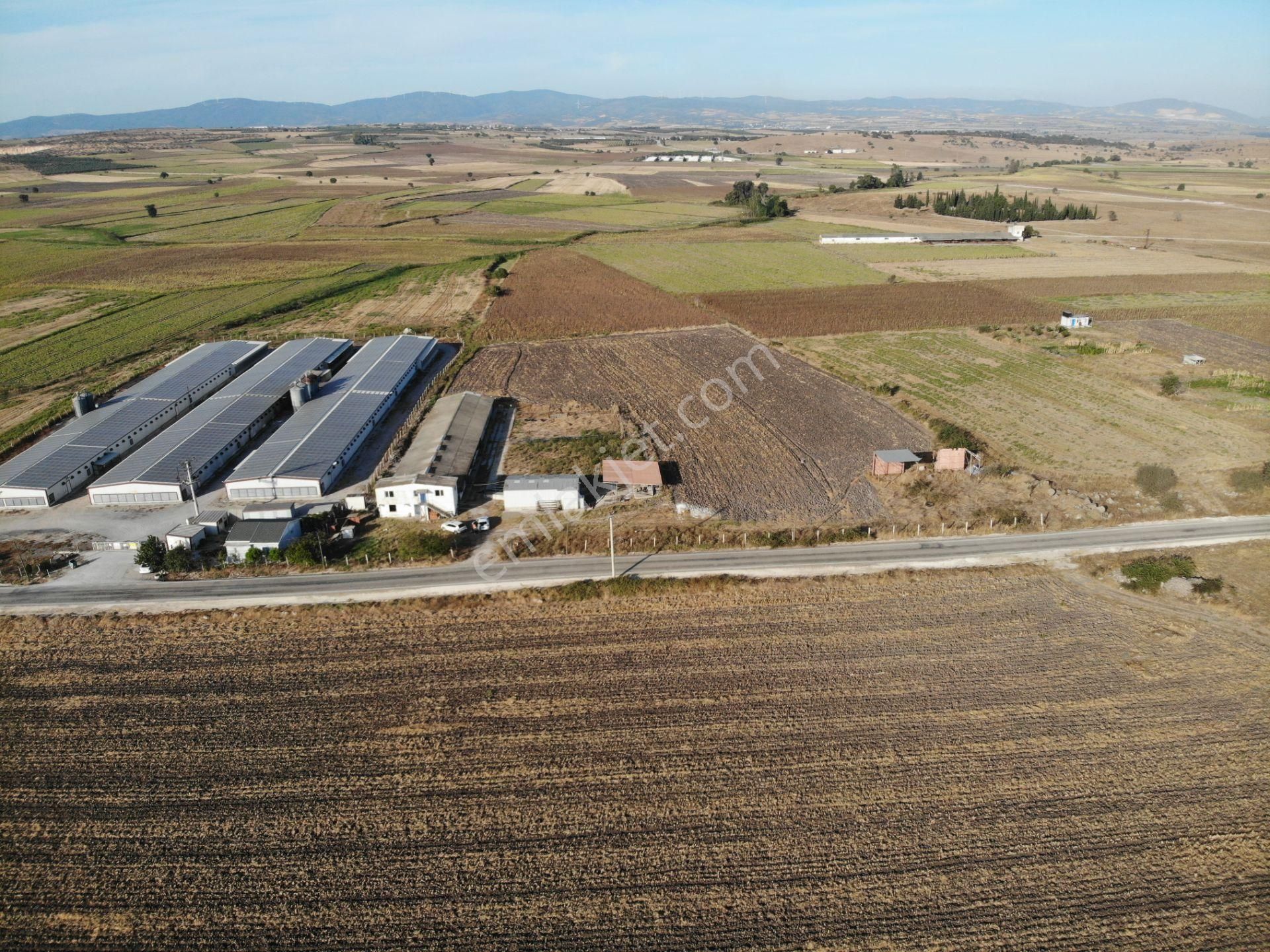 3bin Dönüm Meraya Hakim Asvalt Boyu Satılık Çiftlik