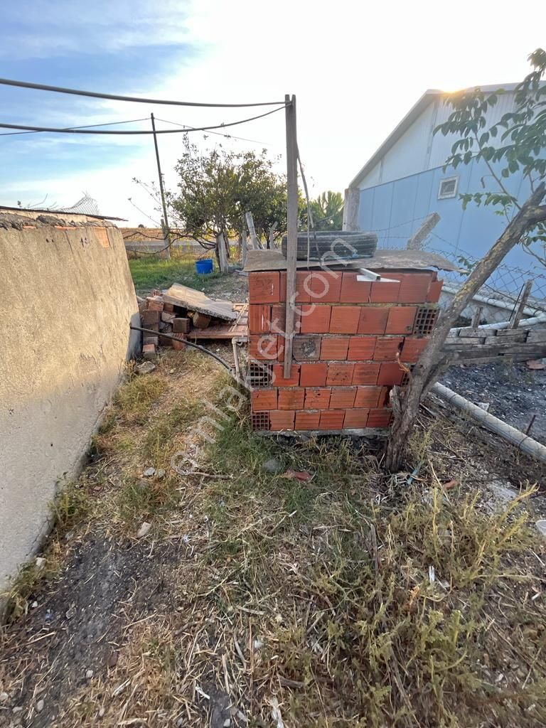 3bin Dönüm Meraya Hakim Asvalt Boyu Satılık Çiftlik - Görsel 32