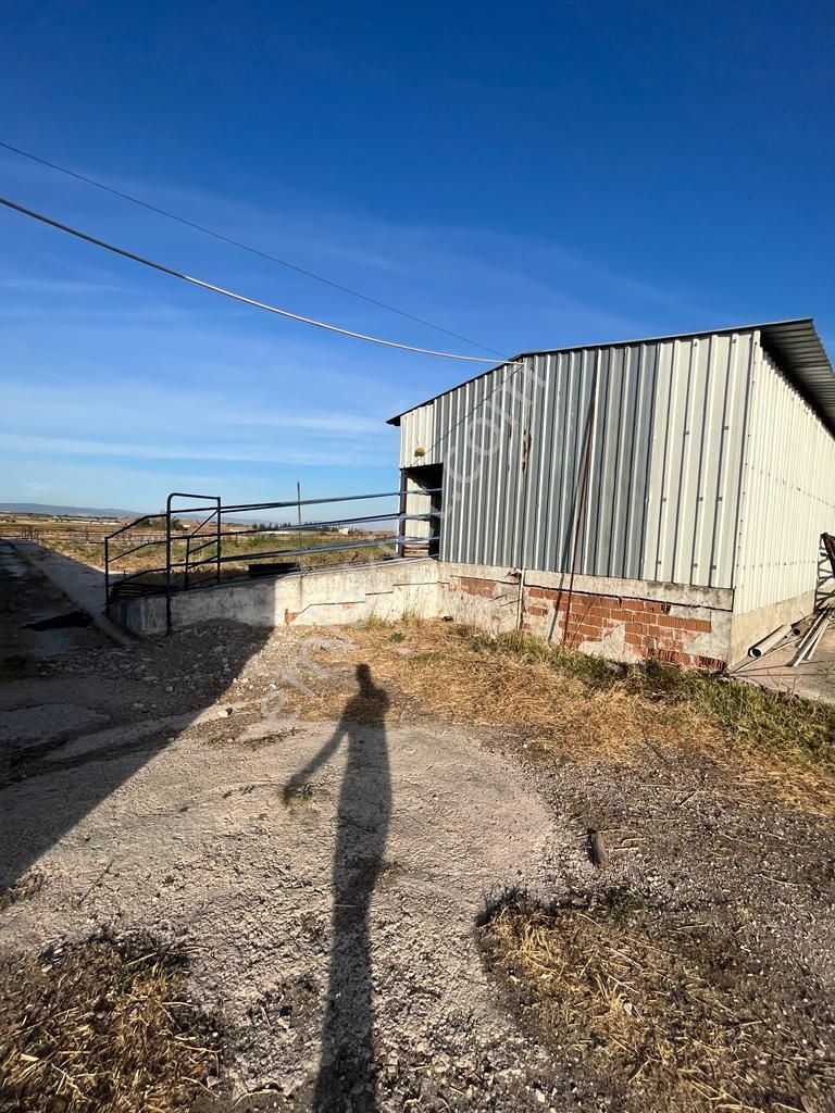 3bin Dönüm Meraya Hakim Asvalt Boyu Satılık Çiftlik - Görsel 6