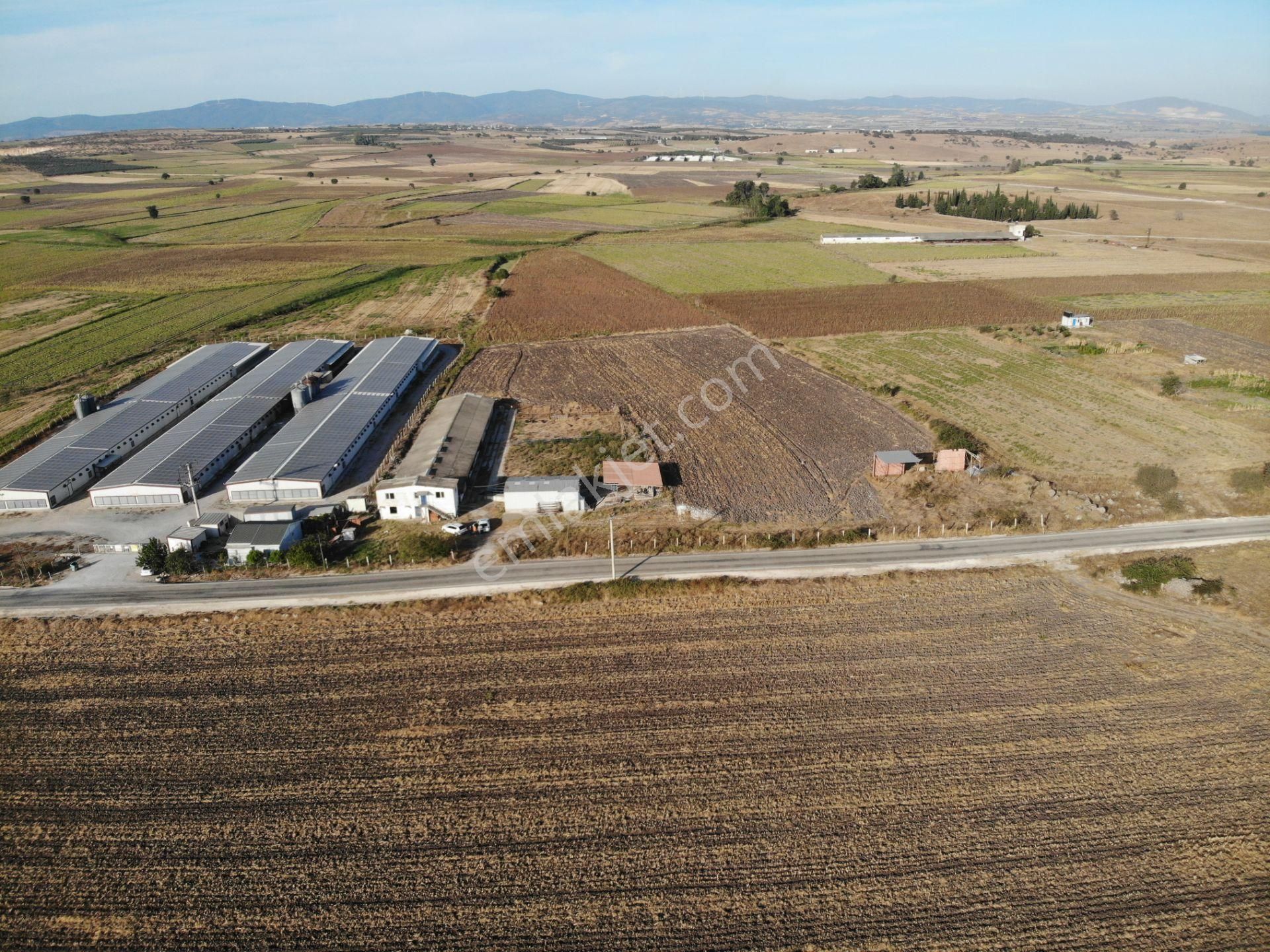 3bin Dönüm Meraya Hakim Asvalt Boyu Satılık Çiftlik - Görsel 3