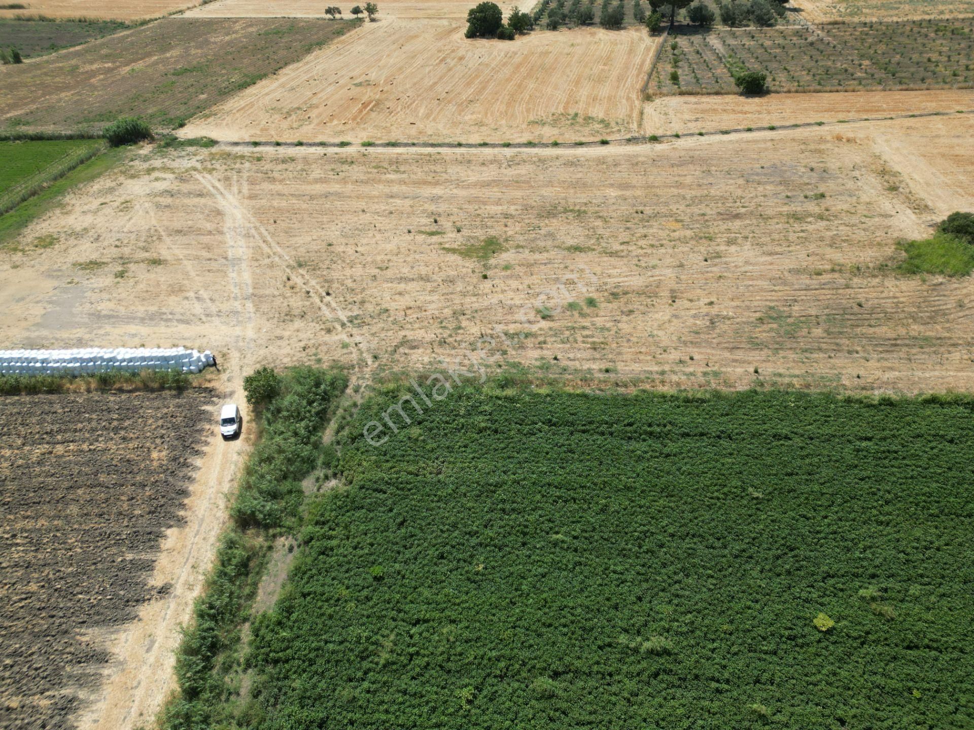 Dikili İsmetpaşa'da Fırsat Fiyatta Satılık Hobi Bahçesi - Görsel 18
