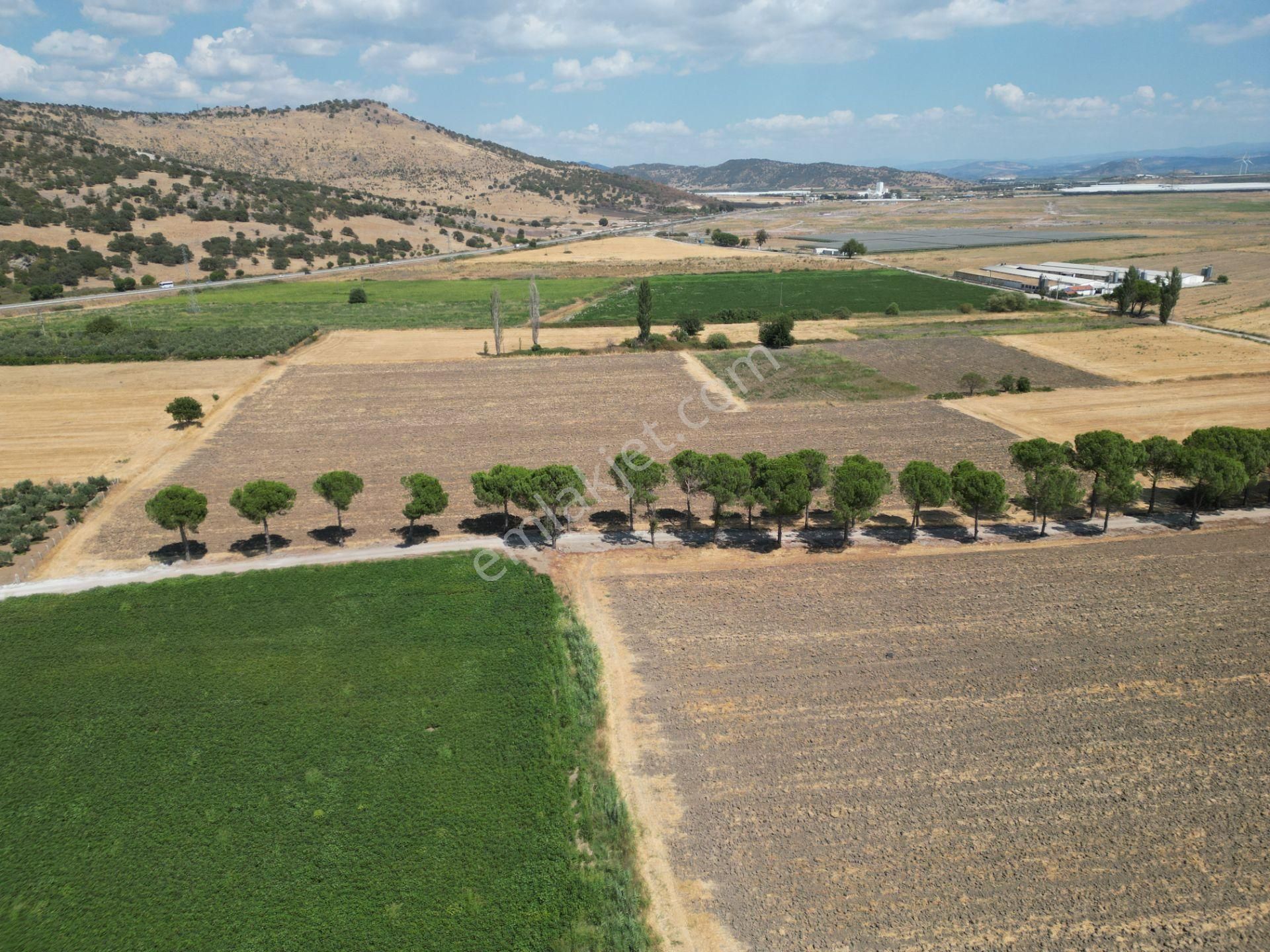 Dikili İsmetpaşa'da Fırsat Fiyatta Satılık Hobi Bahçesi - Görsel 15