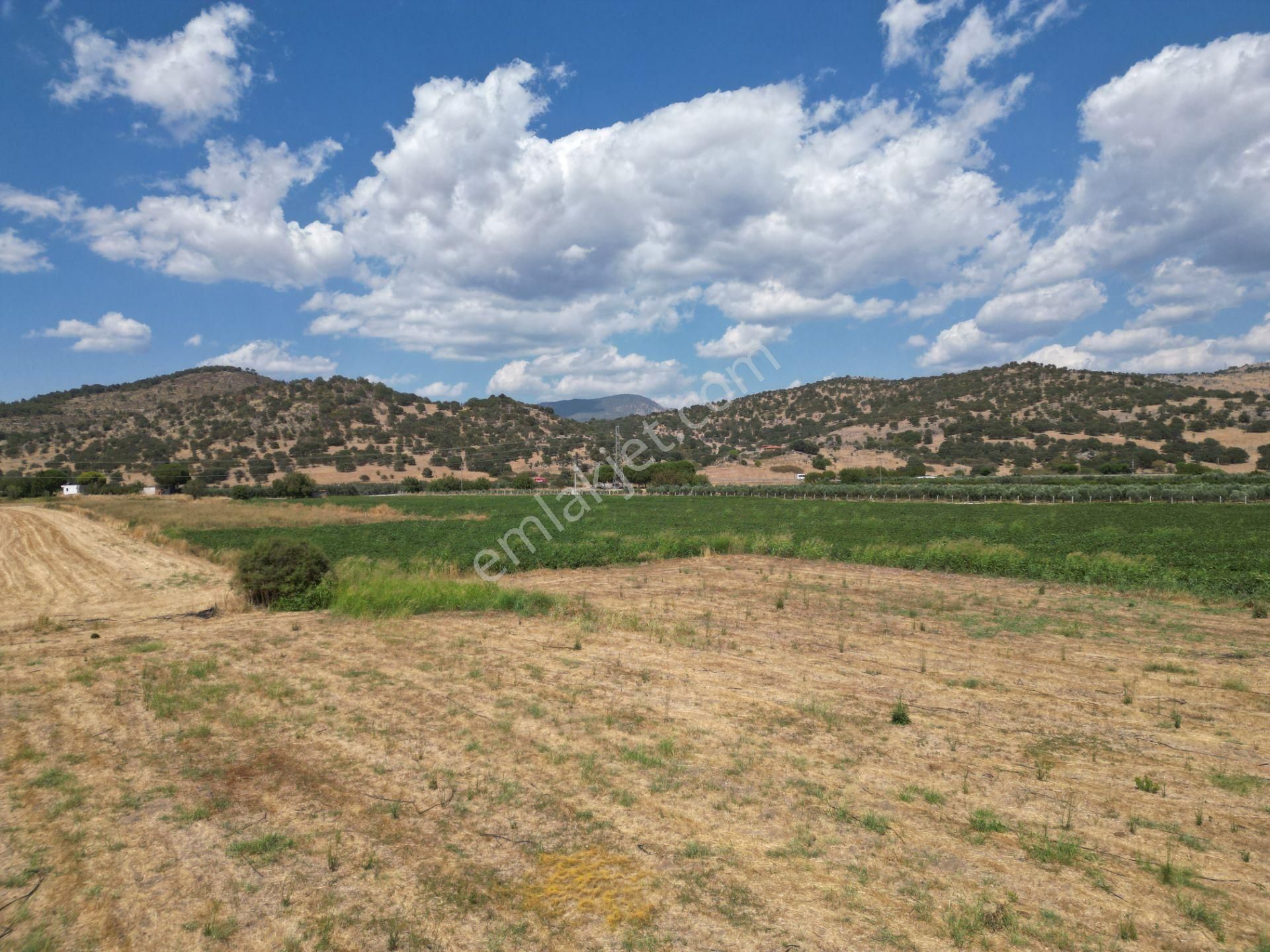 Dikili İsmetpaşa'da Fırsat Fiyatta Satılık Hobi Bahçesi - Görsel 20