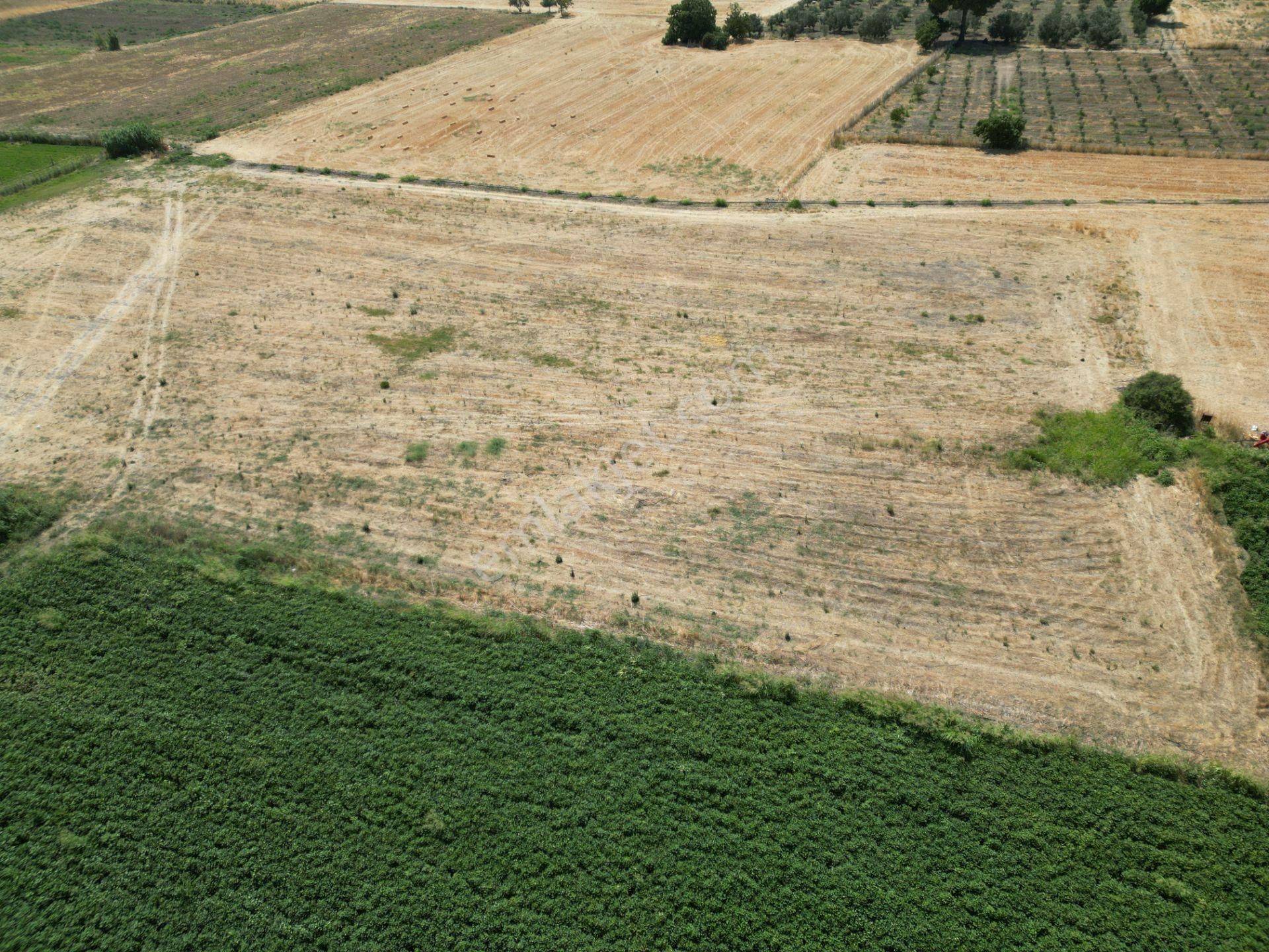 Dikili İsmetpaşa'da Fırsat Fiyatta Satılık Hobi Bahçesi - Görsel 17