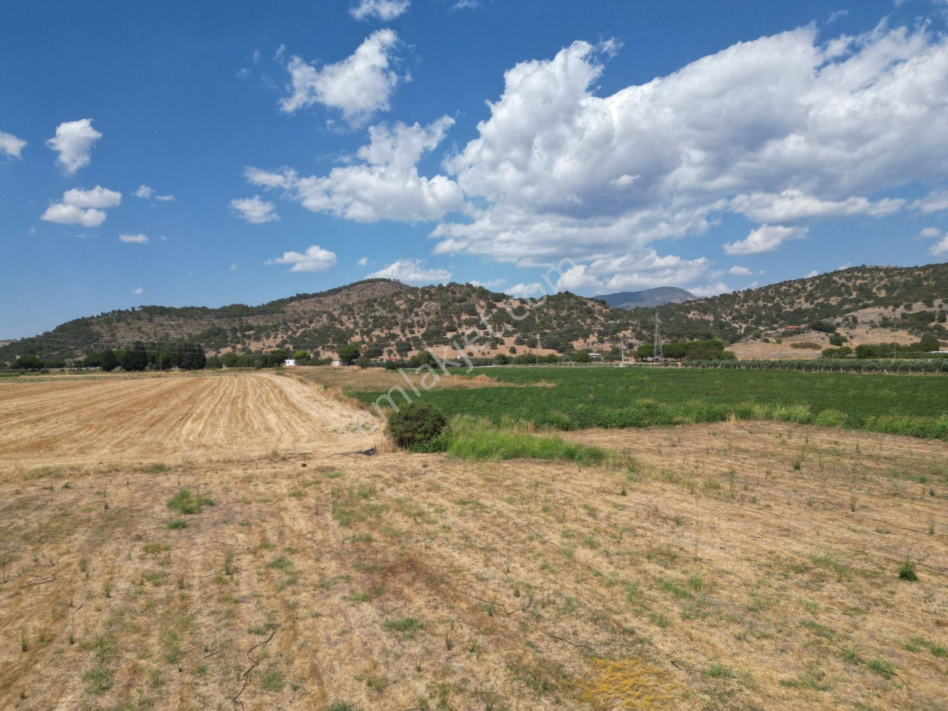 Dikili İsmetpaşa'da Fırsat Fiyatta Satılık Hobi Bahçesi - Görsel 19