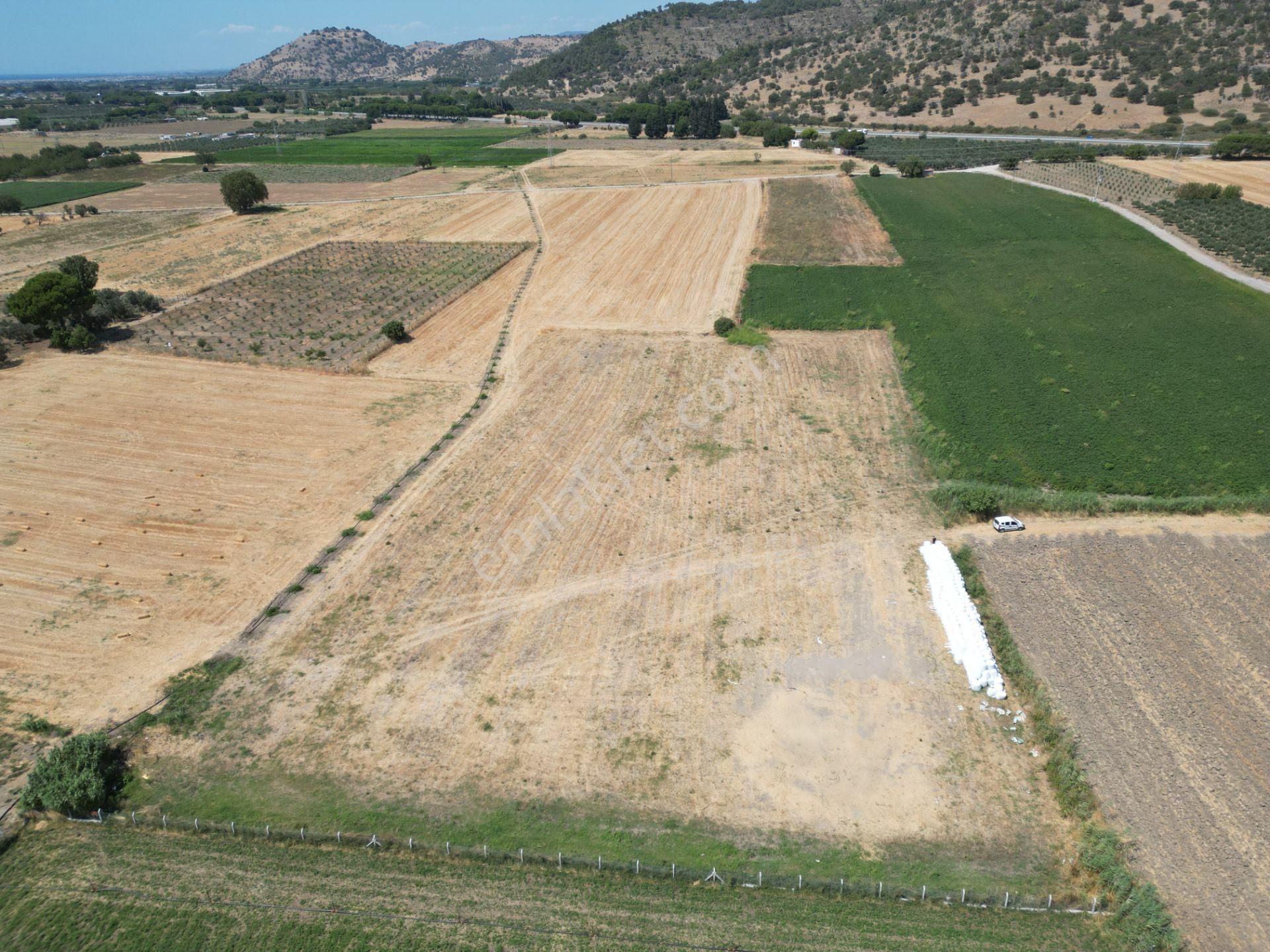 Dikili İsmetpaşa'da Fırsat Fiyatta Satılık Hobi Bahçesi - Görsel 7