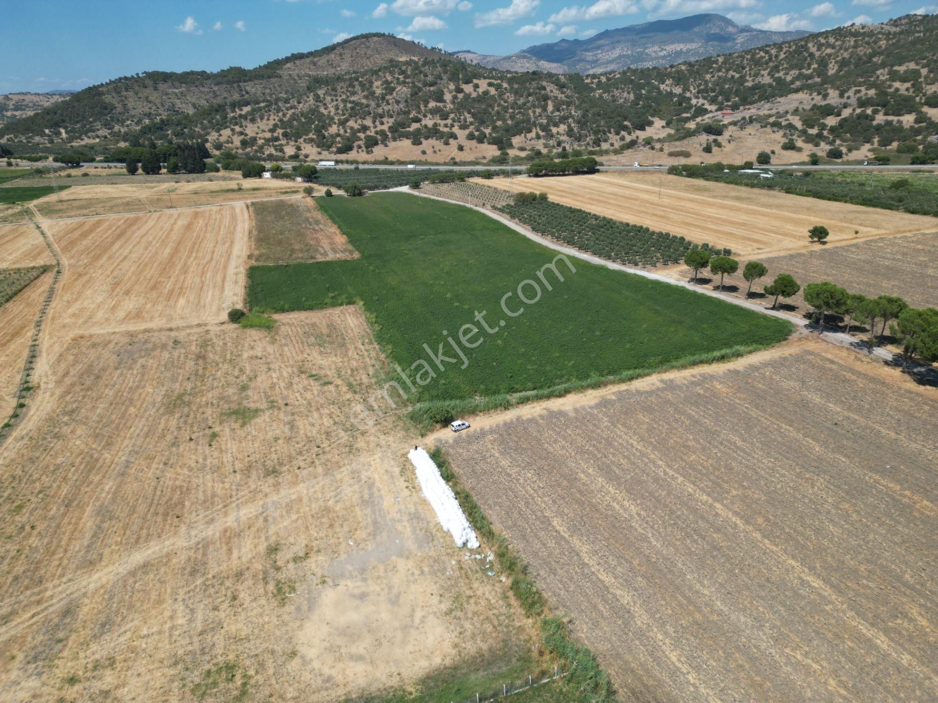 Dikili İsmetpaşa'da Fırsat Fiyatta Satılık Hobi Bahçesi - Görsel 12