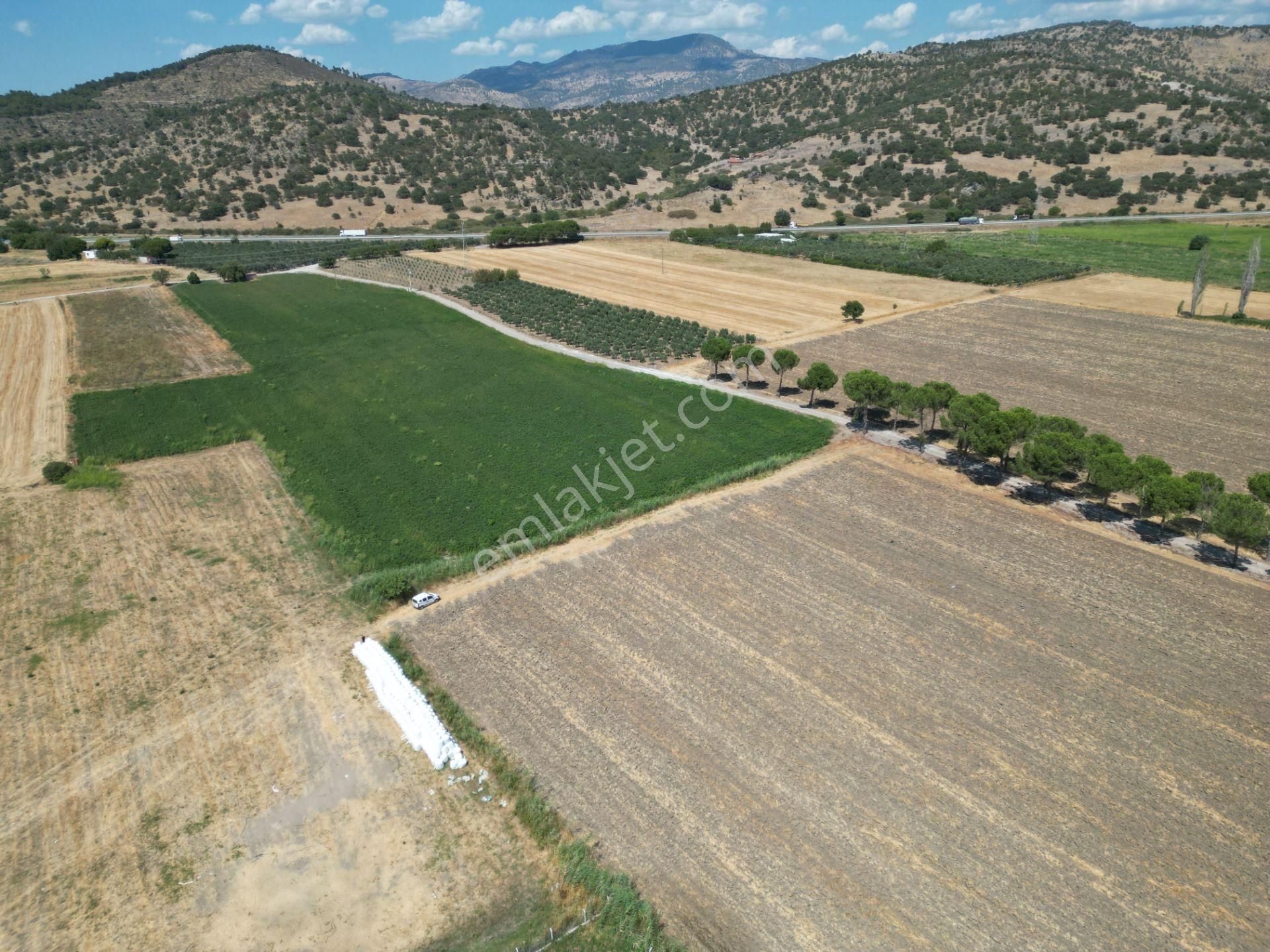 Dikili İsmetpaşa'da Fırsat Fiyatta Satılık Hobi Bahçesi - Görsel 11