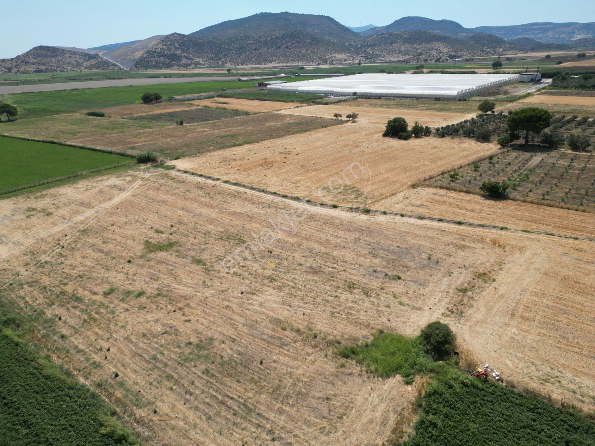 Dikili İsmetpaşa'da Fırsat Fiyatta Satılık Hobi Bahçesi - Görsel 16