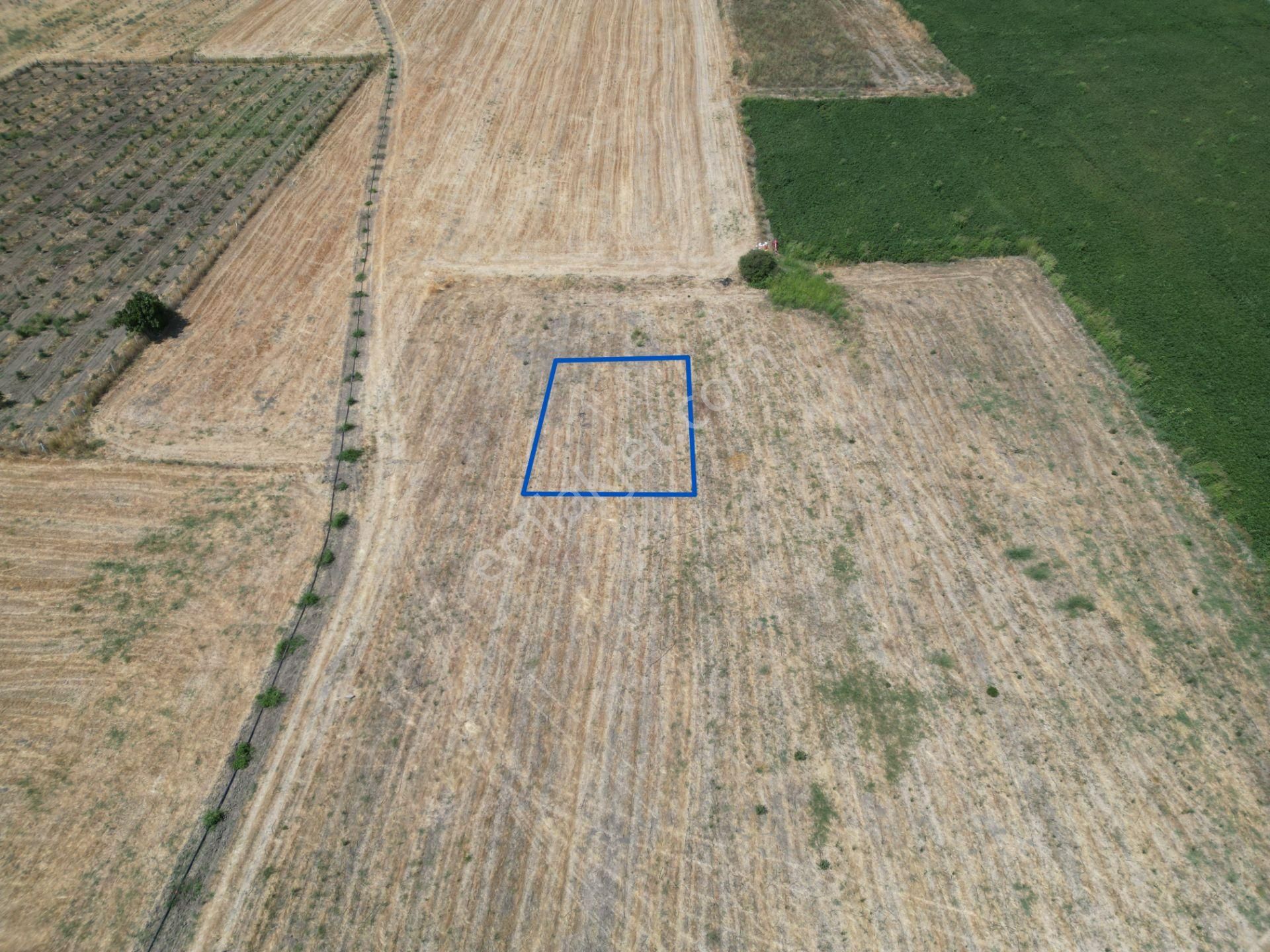 Dikili İsmetpaşa'da Fırsat Fiyatta Satılık Hobi Bahçesi - Görsel 3