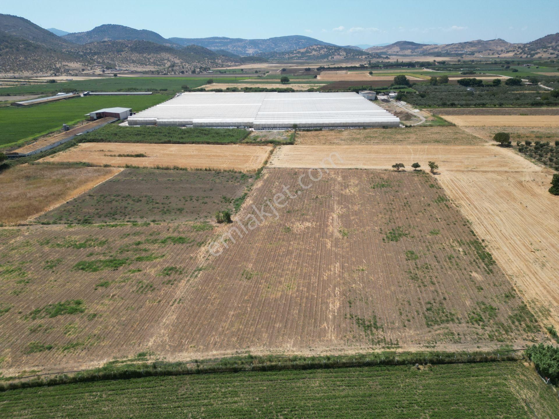 Dikili İsmetpaşa'da Fırsat Fiyatta Satılık Hobi Bahçesi