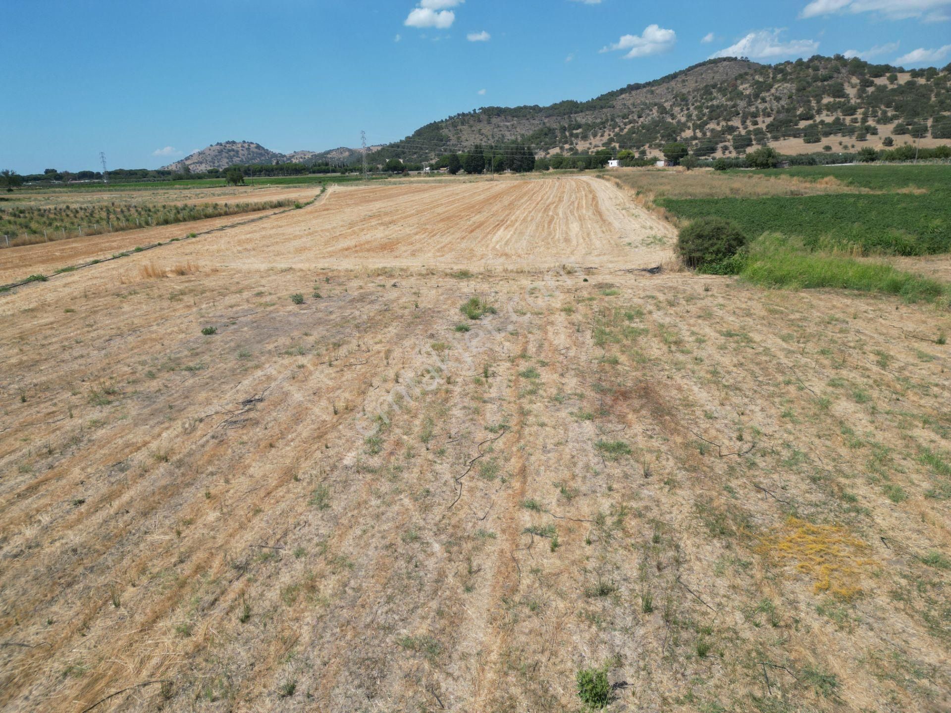 Dikili İsmetpaşa'da Fırsat Fiyatta Satılık Hobi Bahçesi - Görsel 8