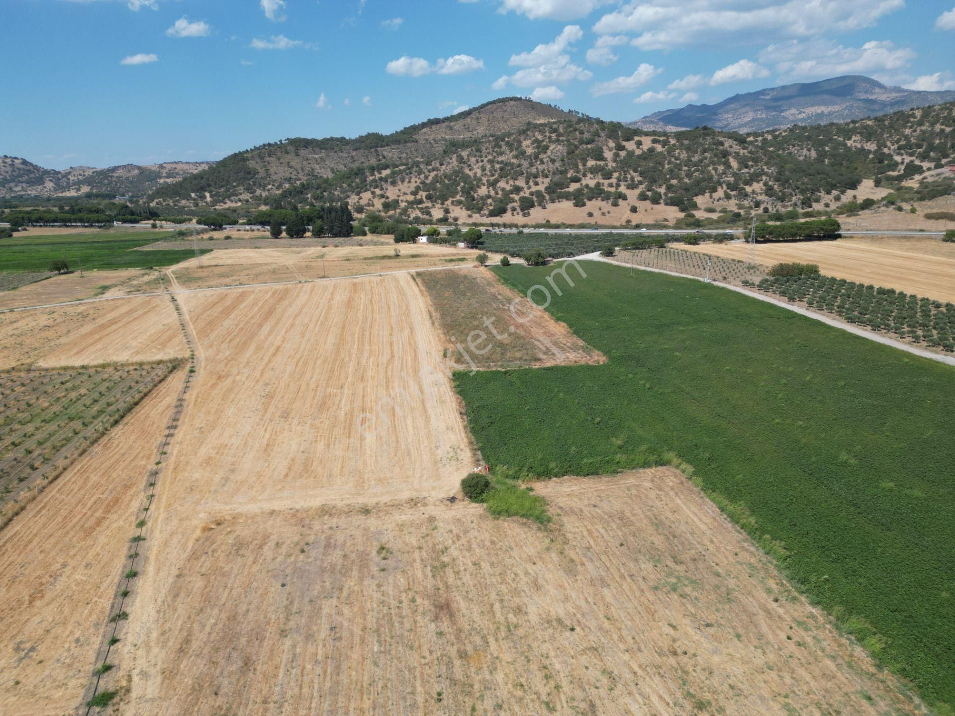 Dikili İsmetpaşa'da Fırsat Fiyatta Satılık Hobi Bahçesi - Görsel 14