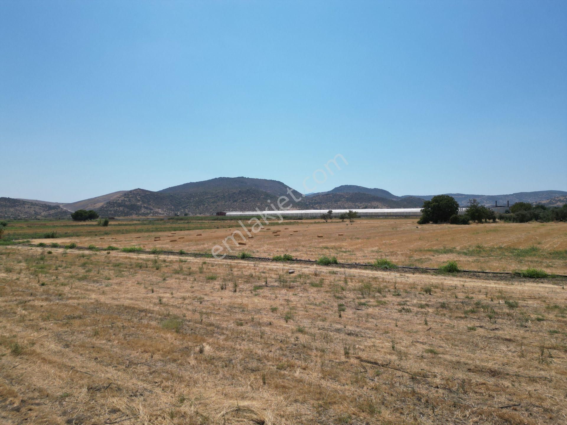 Dikili İsmetpaşa'da Fırsat Fiyatta Satılık Hobi Bahçesi - Görsel 22