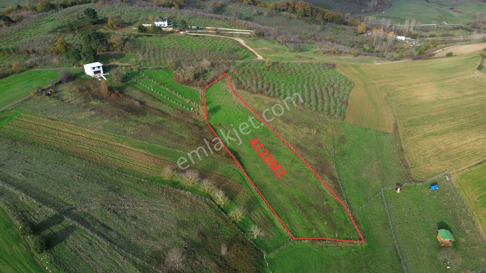 Dc Gayrimenkul Arsa Ofisin Den Geredelı Köyün'de 4128m2 Arazi