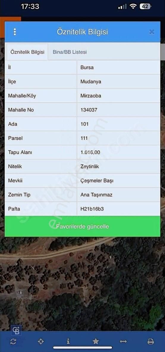 Cb Address'ten Mudanya Mirzaoba'da Satılık Arazi - Görsel 3